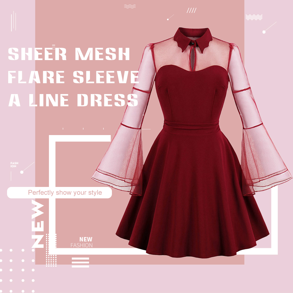 Sheer Mesh Insert Fit and Flare Dress